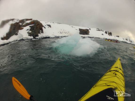Remando ao redor de um bloco de gelo no mar ao lado de Half Moon Island, na Antártida